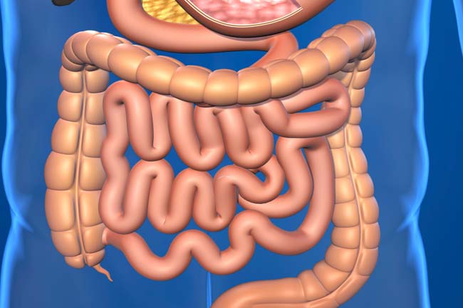 Como mejorar el transito intestinal